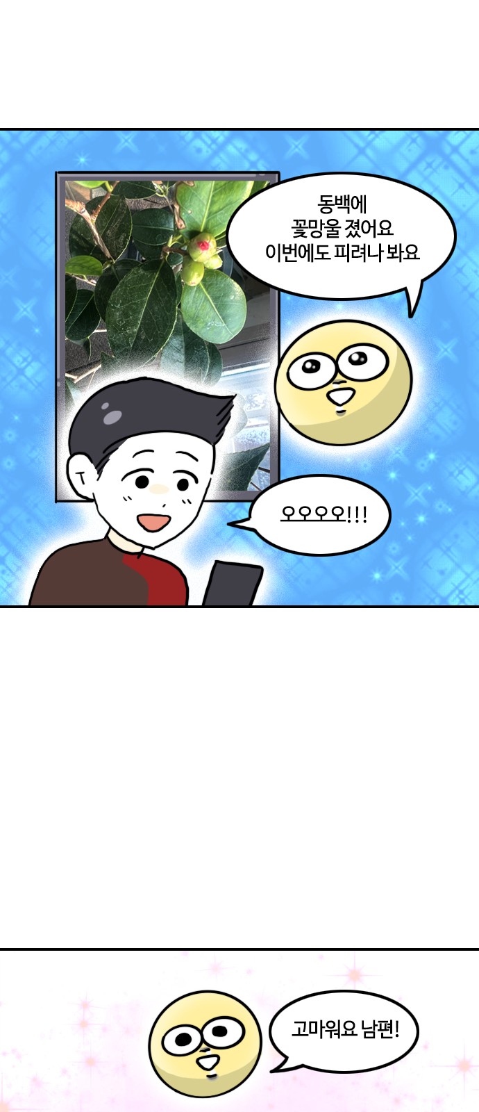 19 페이지