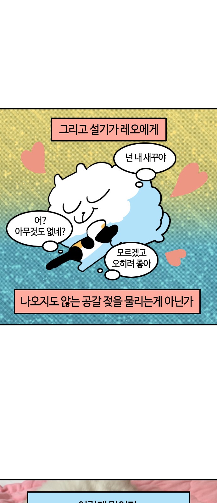13 페이지
