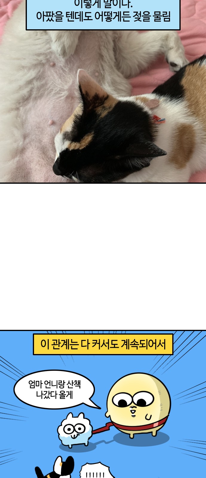 14 페이지