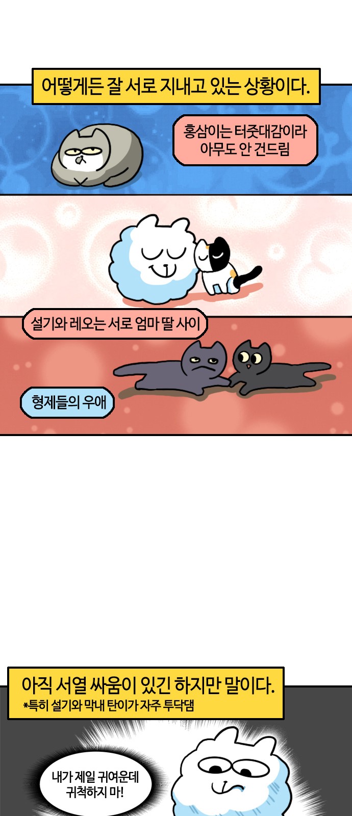 5 페이지