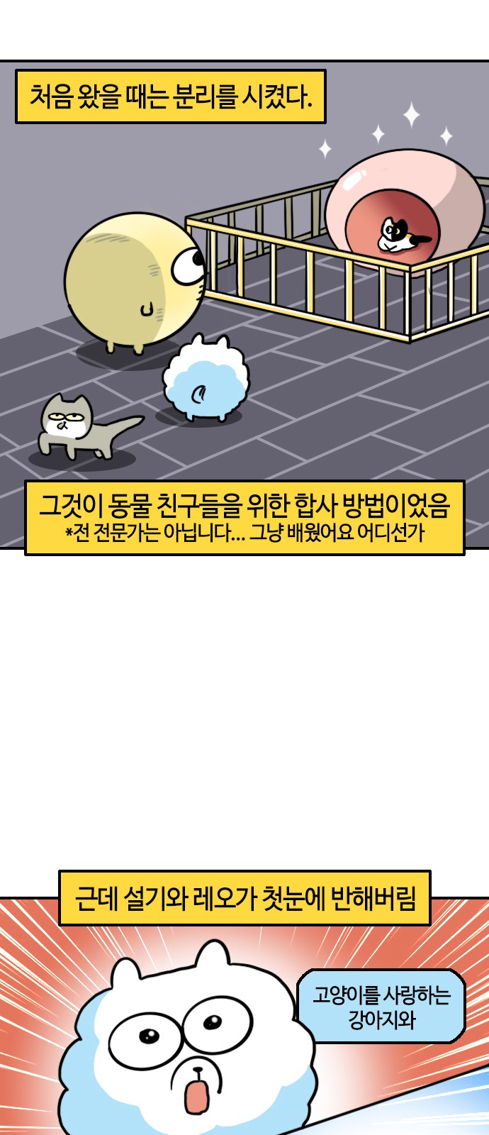 8 페이지