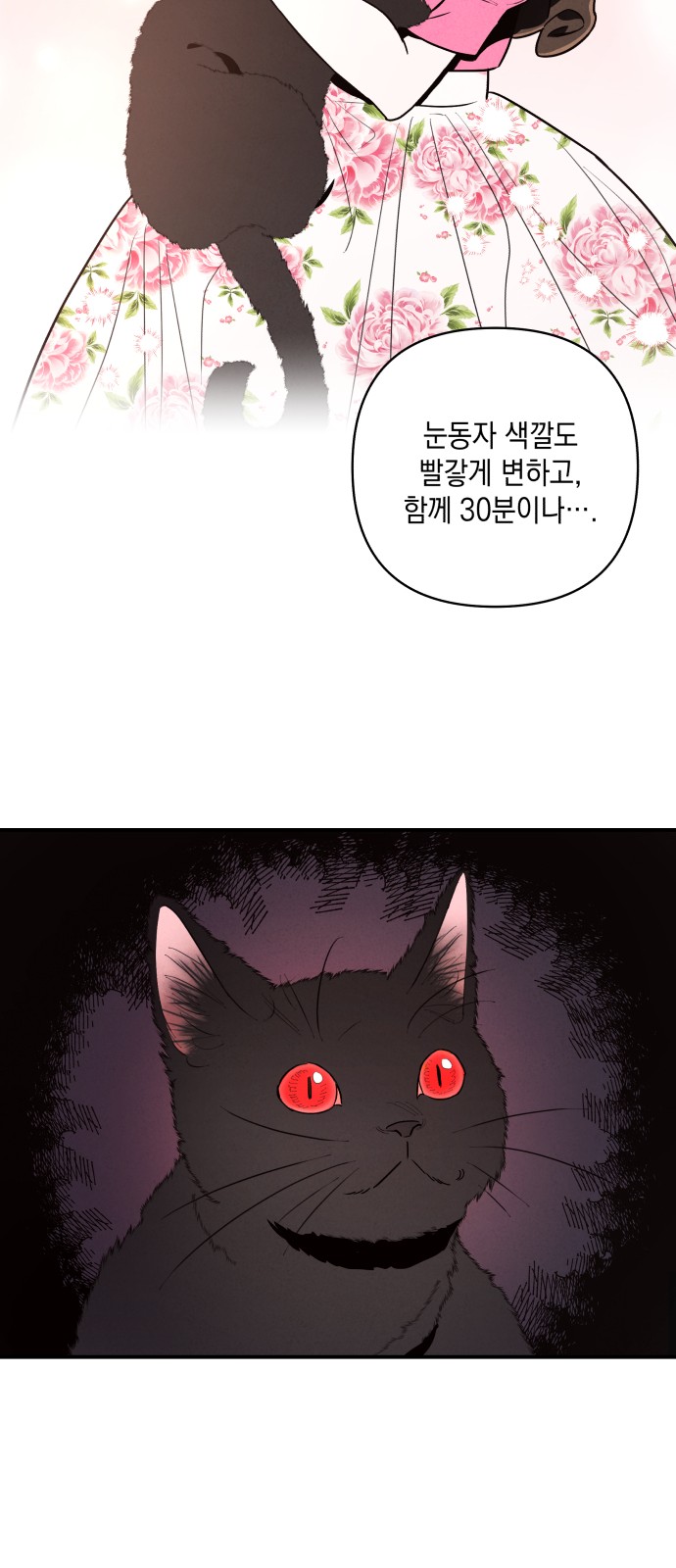 116 페이지
