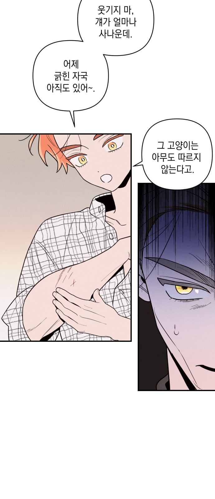 118 페이지