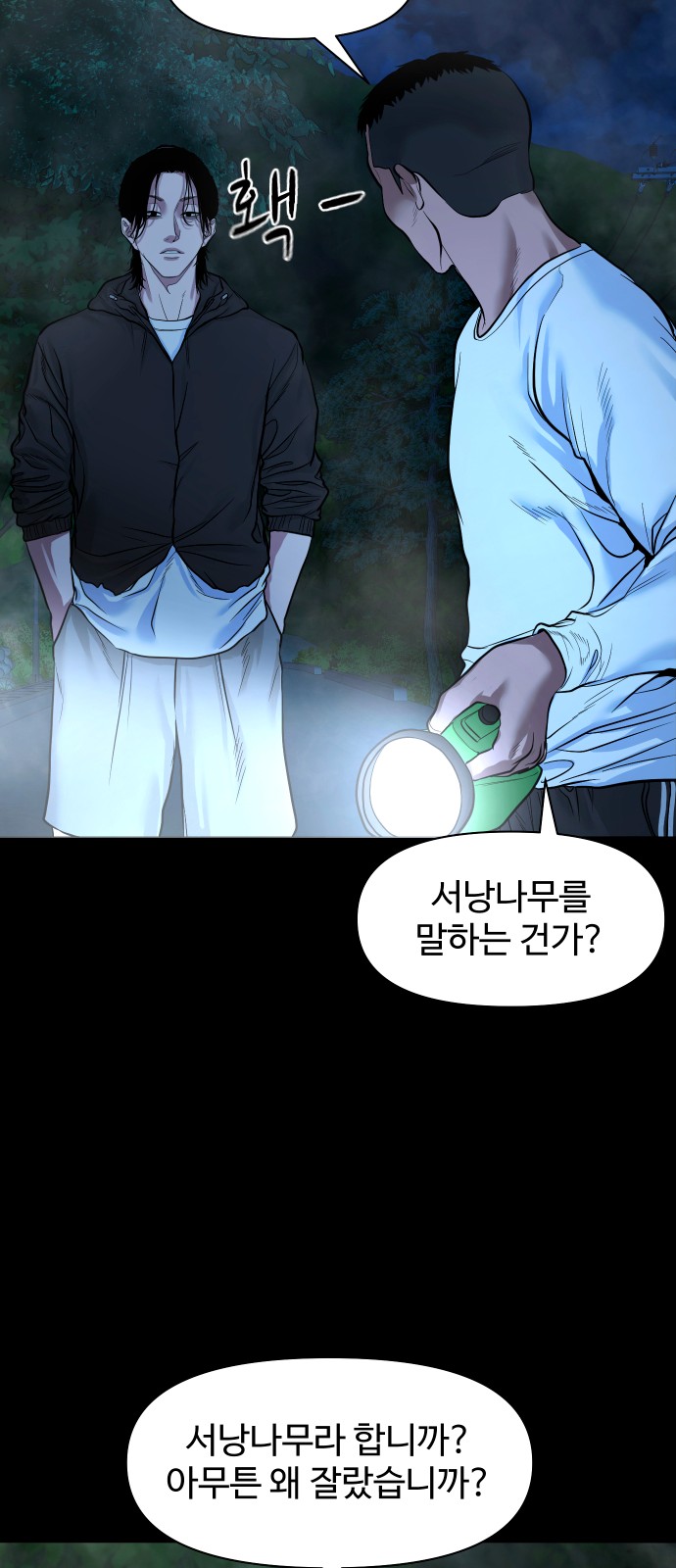 60 페이지