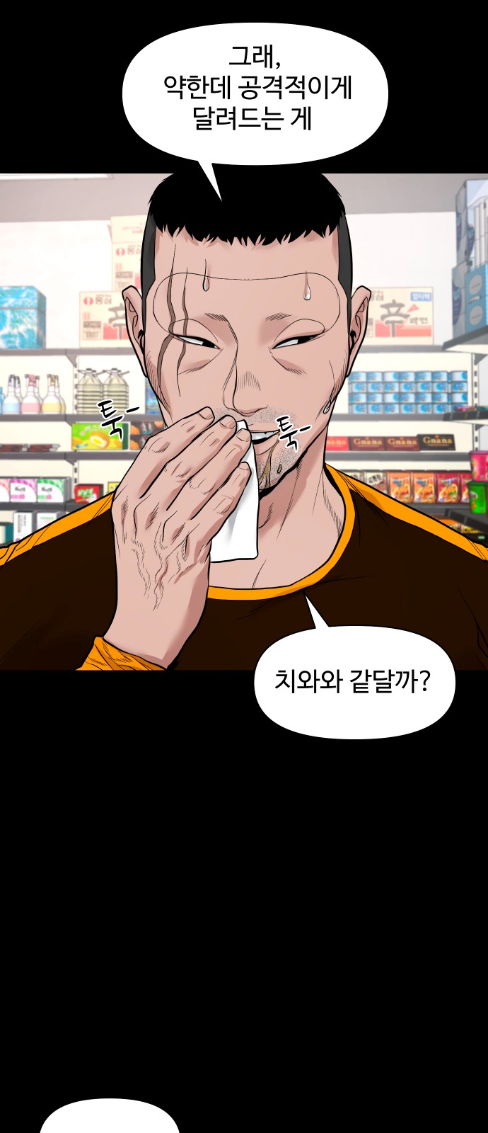 30 페이지