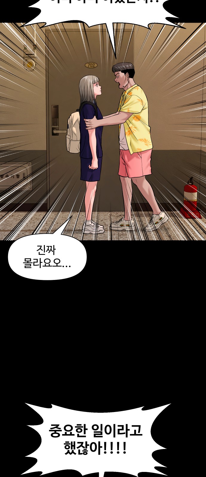 66 페이지