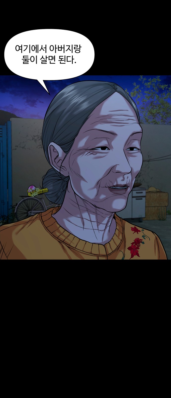 30 페이지