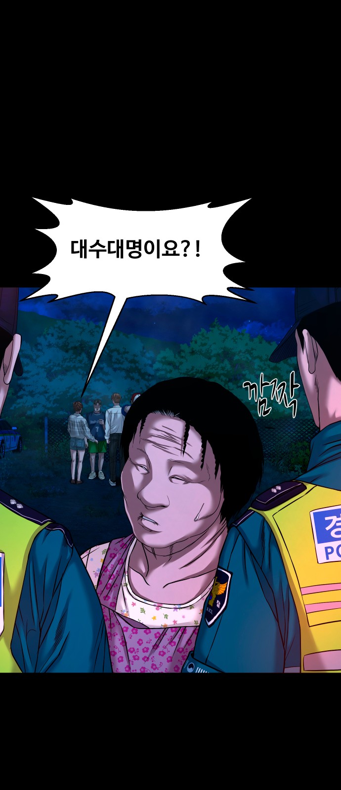 15 페이지
