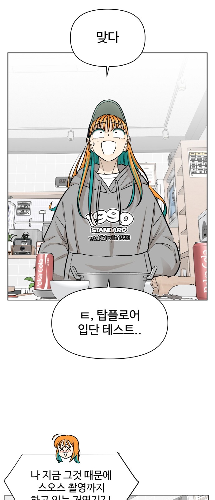 17 페이지