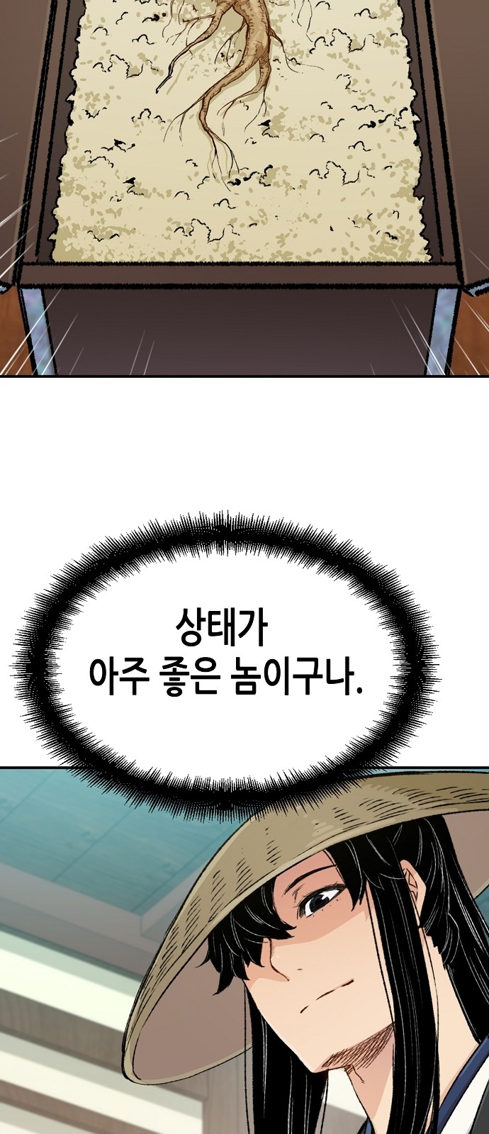 70 페이지
