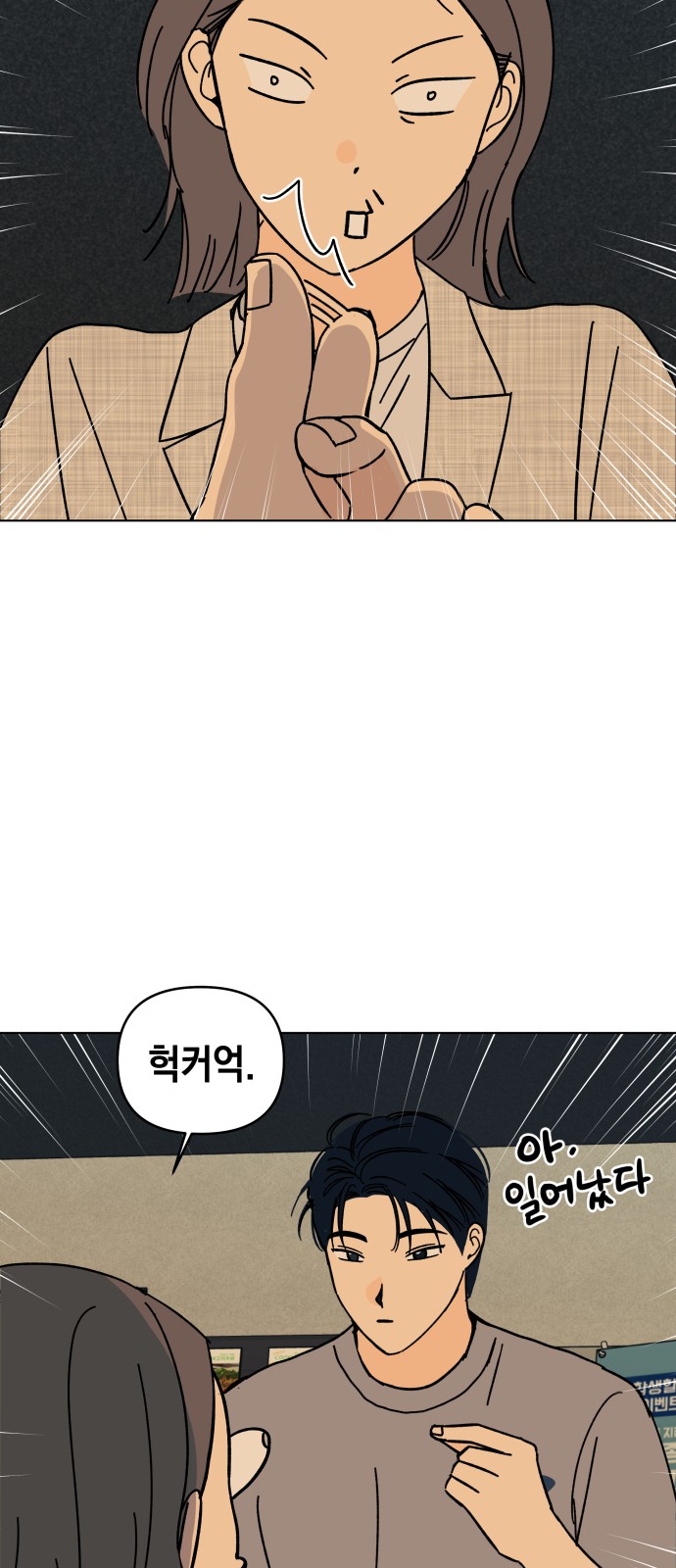 46 페이지