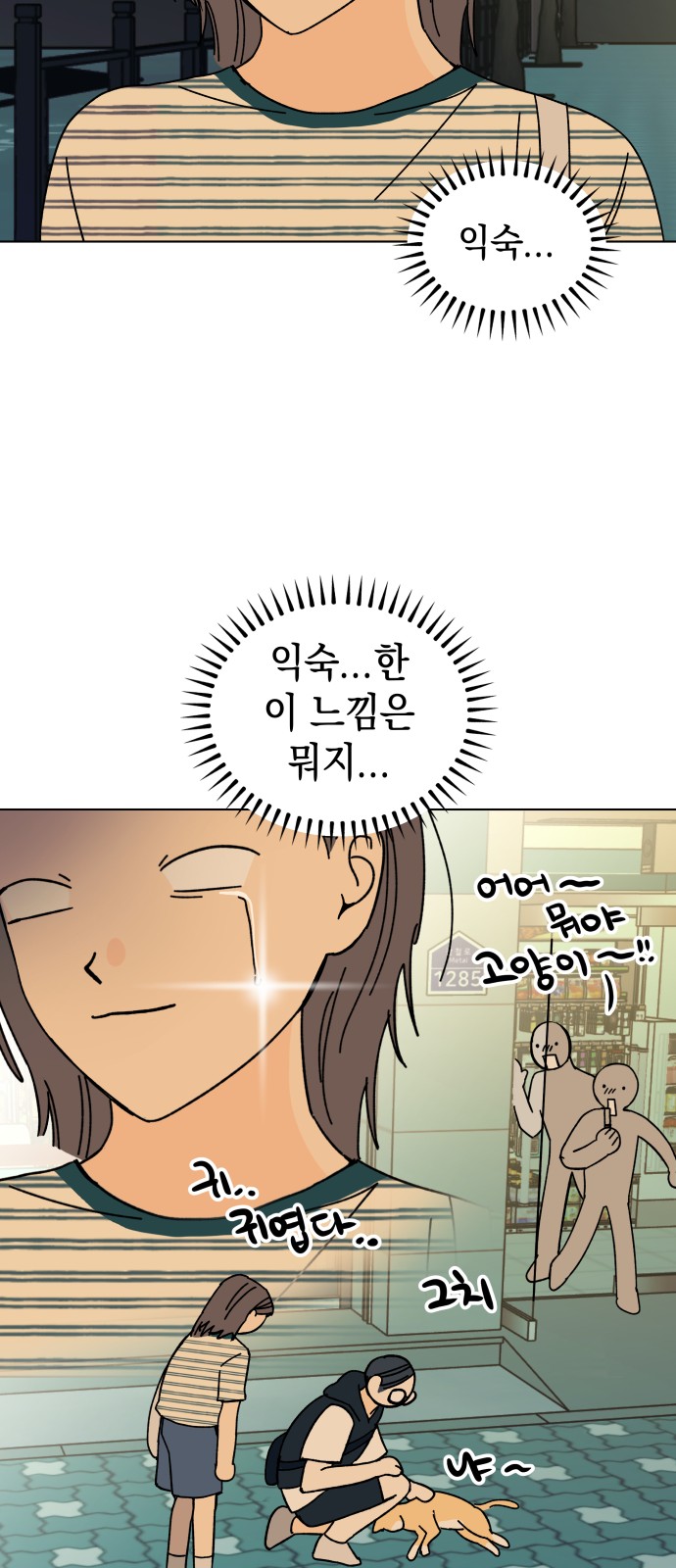 53 페이지