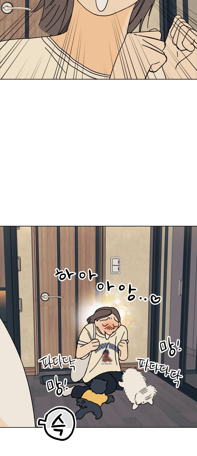 57 페이지