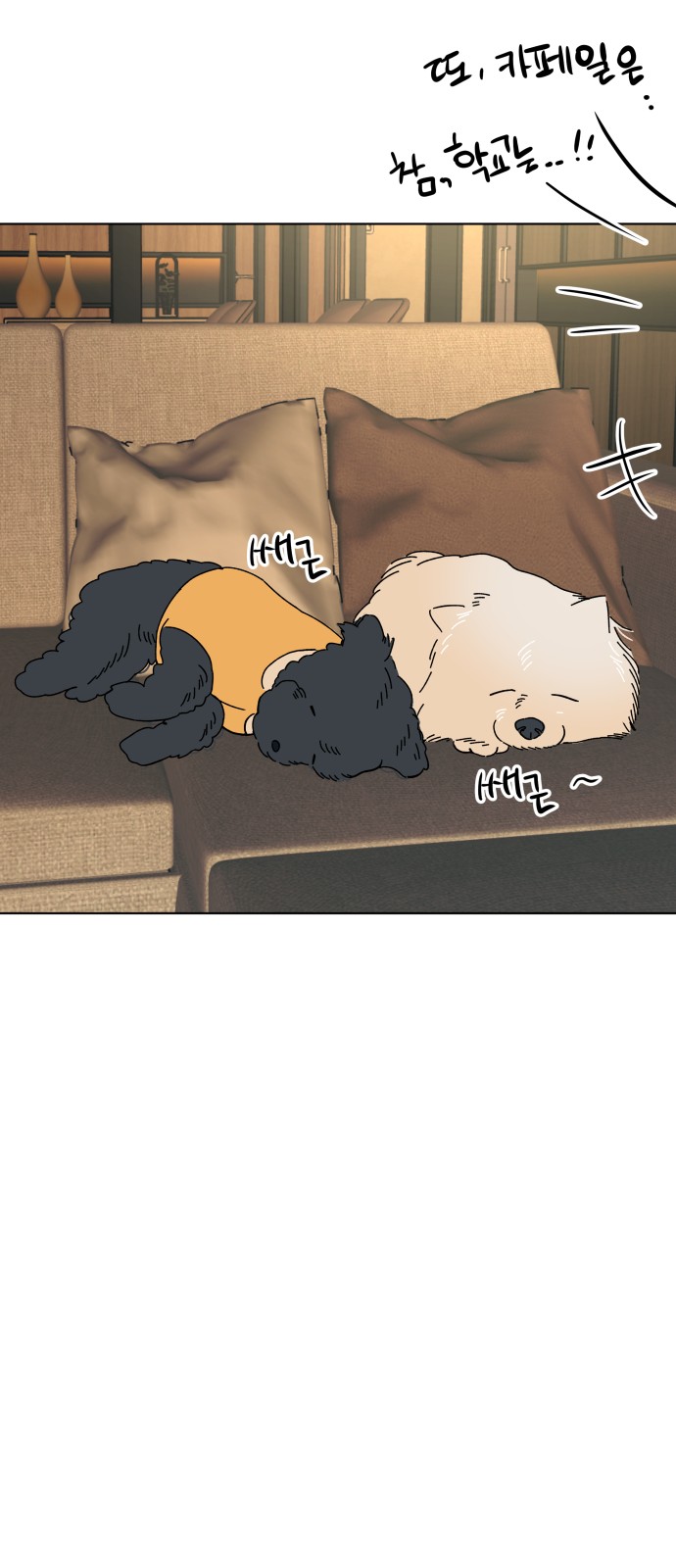 24 페이지