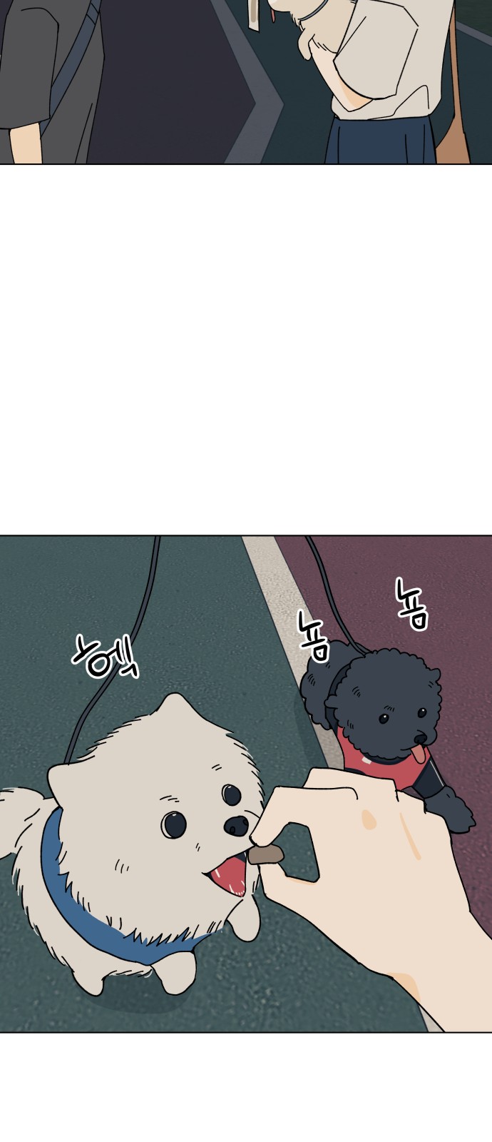 17 페이지