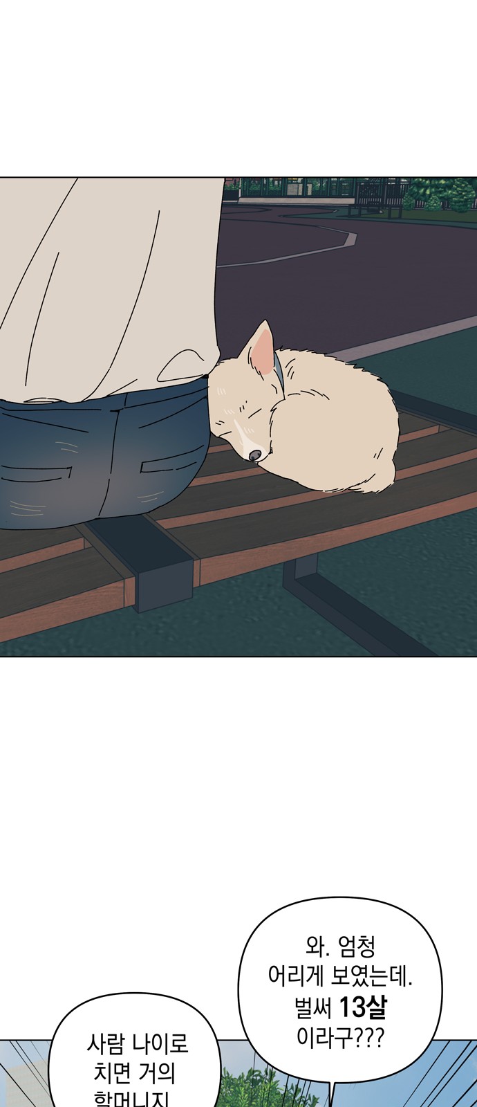 23 페이지