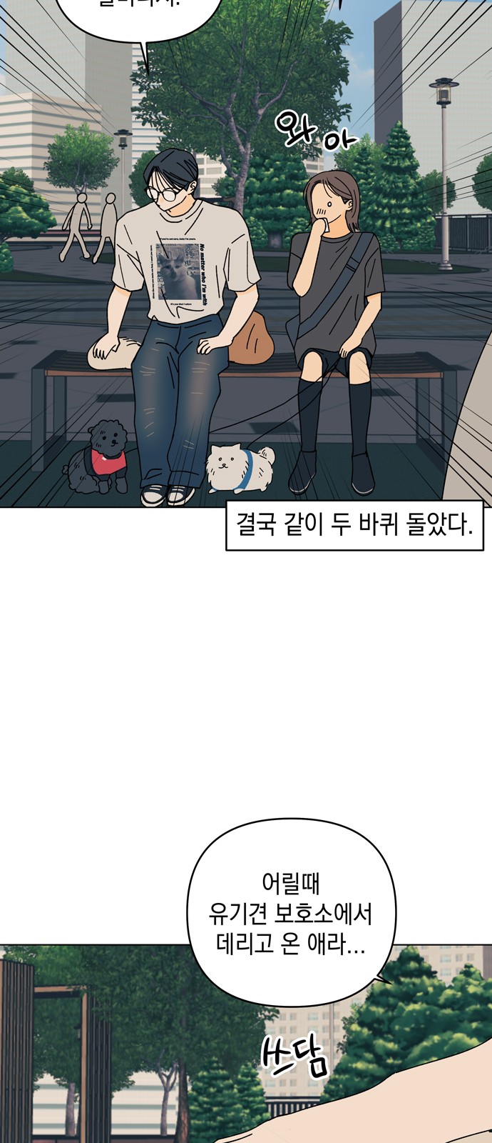 24 페이지