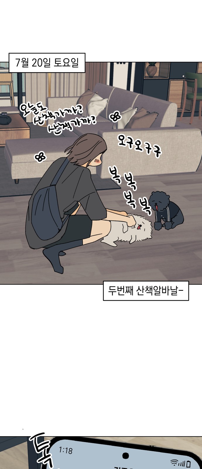 5 페이지