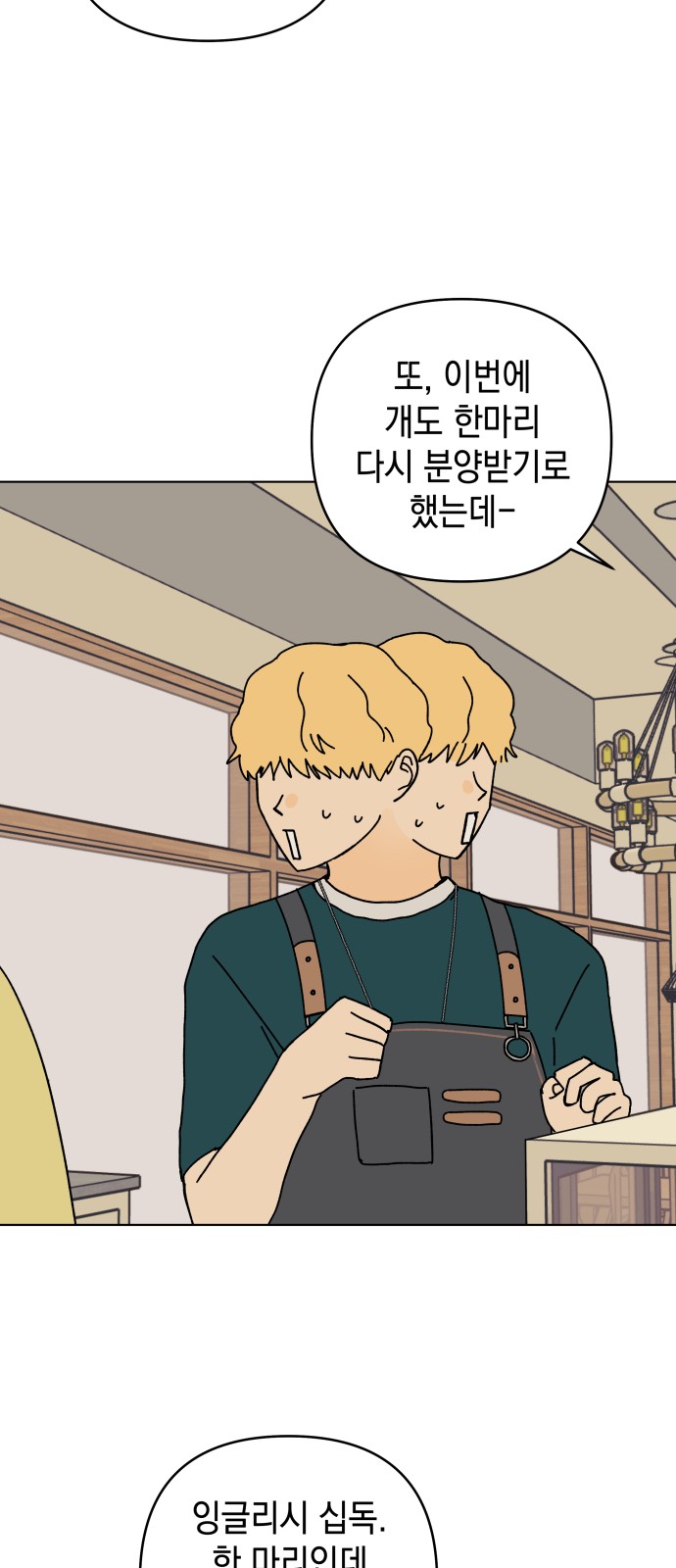 20 페이지