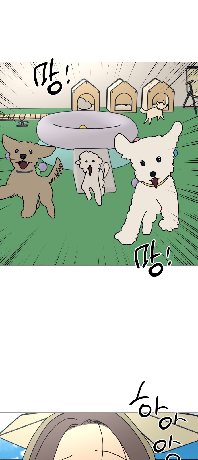 17 페이지