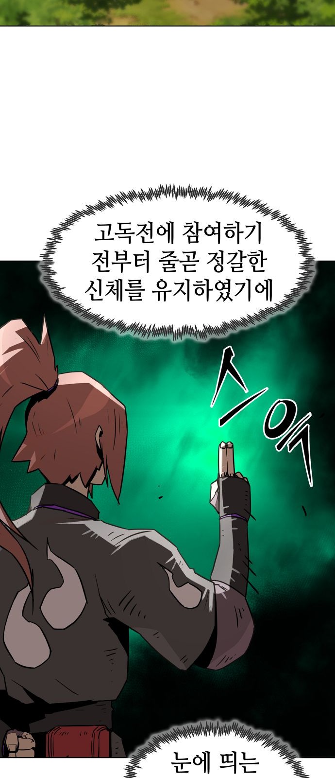 66 페이지
