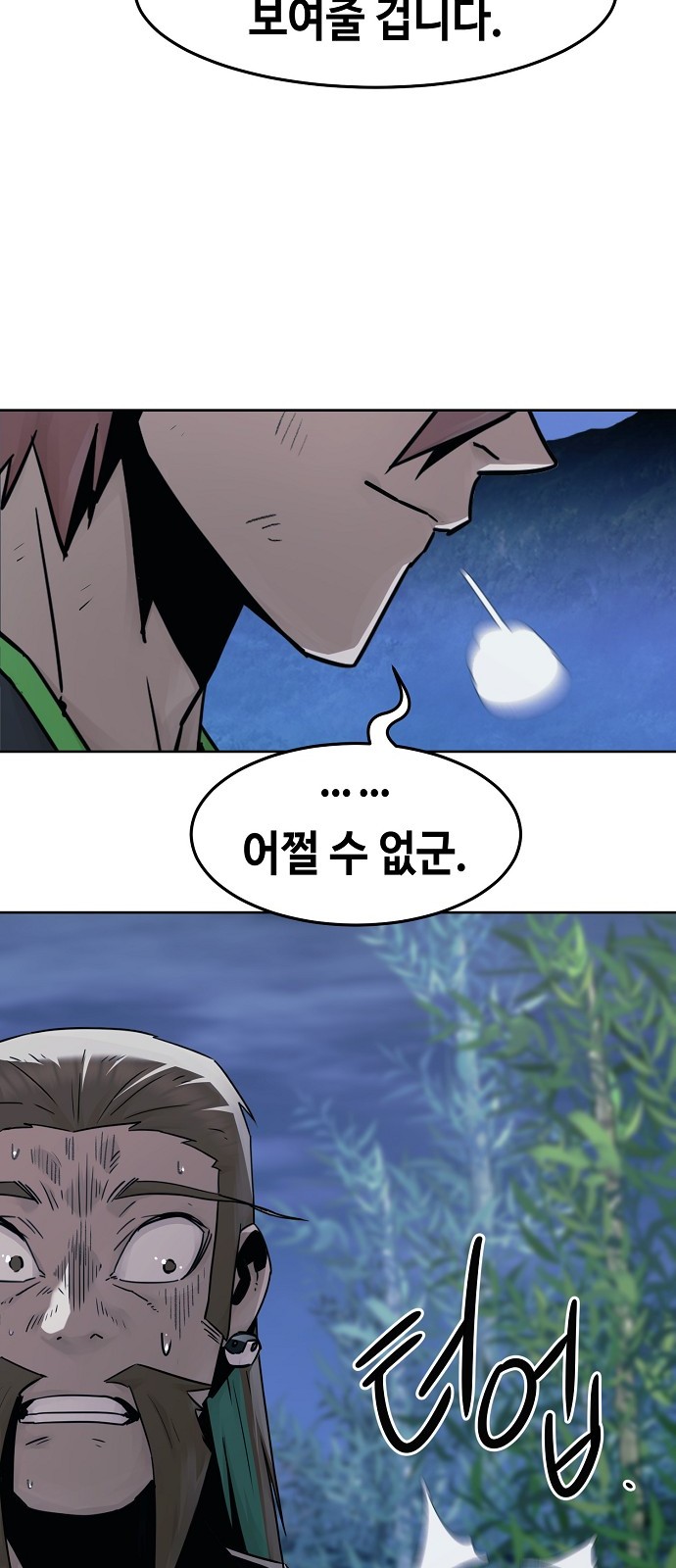 66 페이지