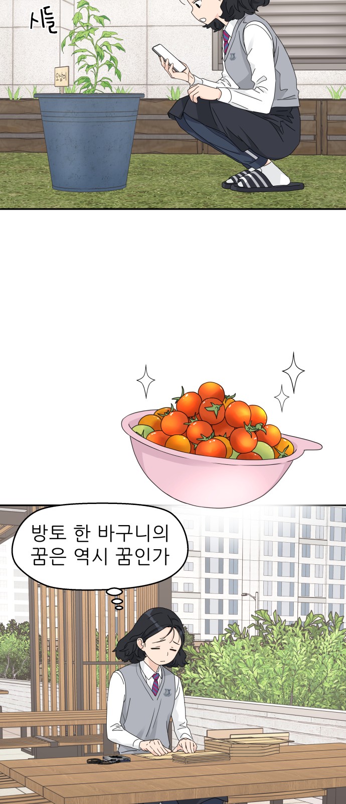 13 페이지