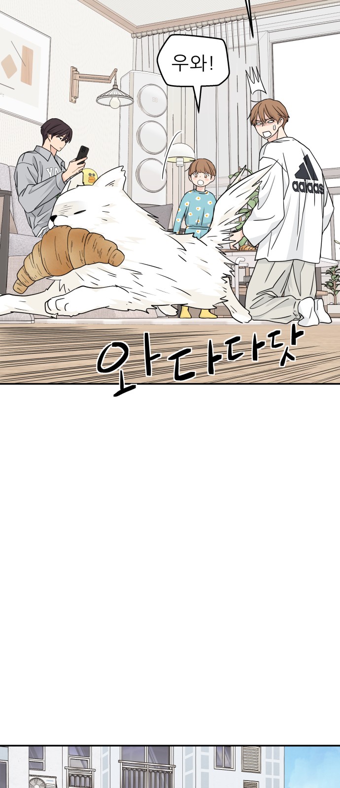 17 페이지