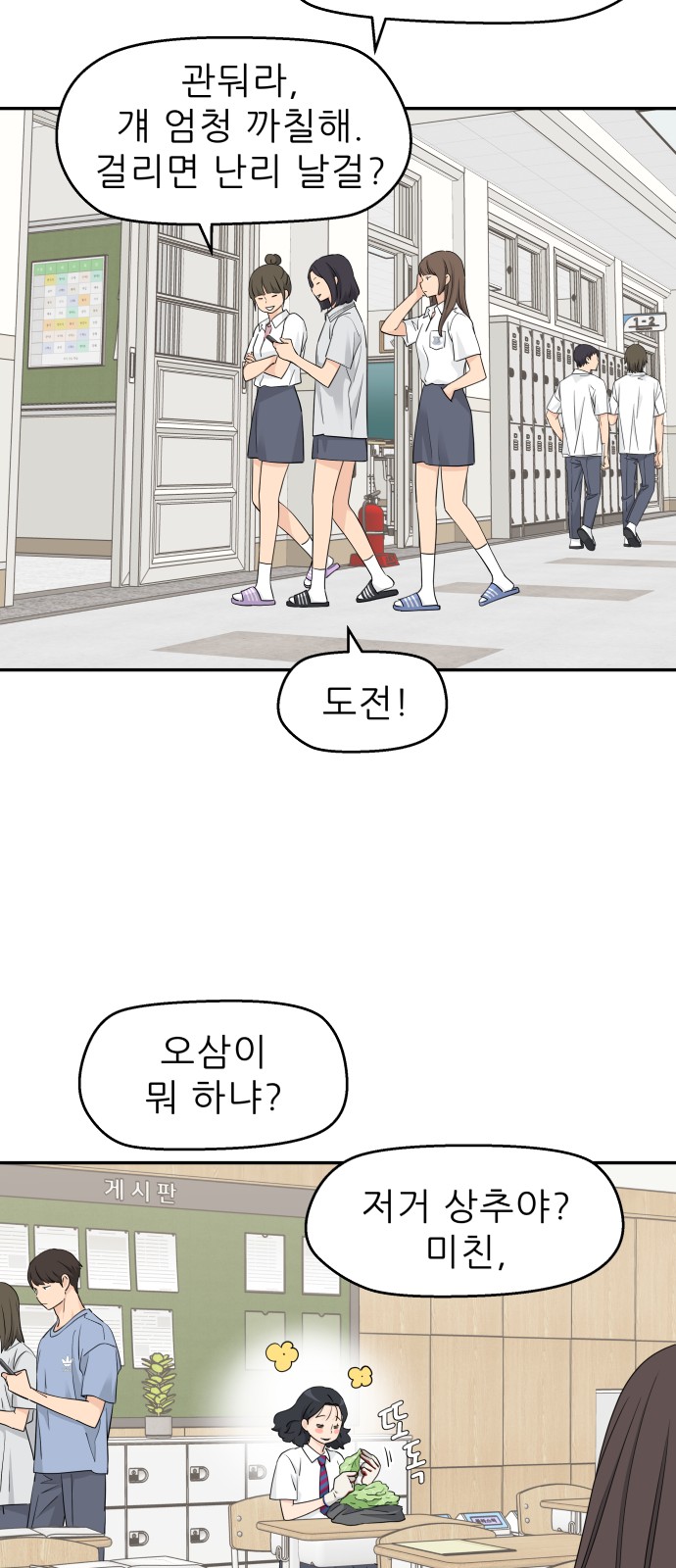 13 페이지