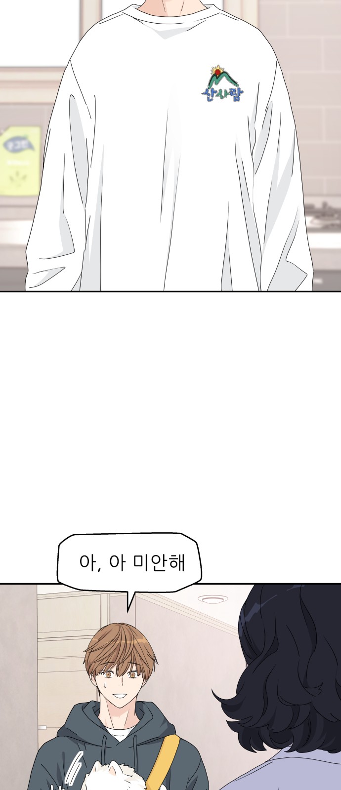20 페이지