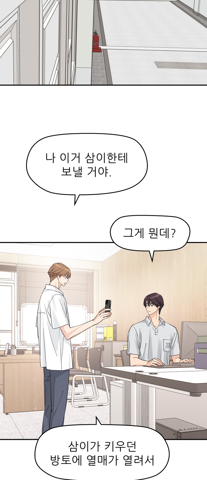 33 페이지
