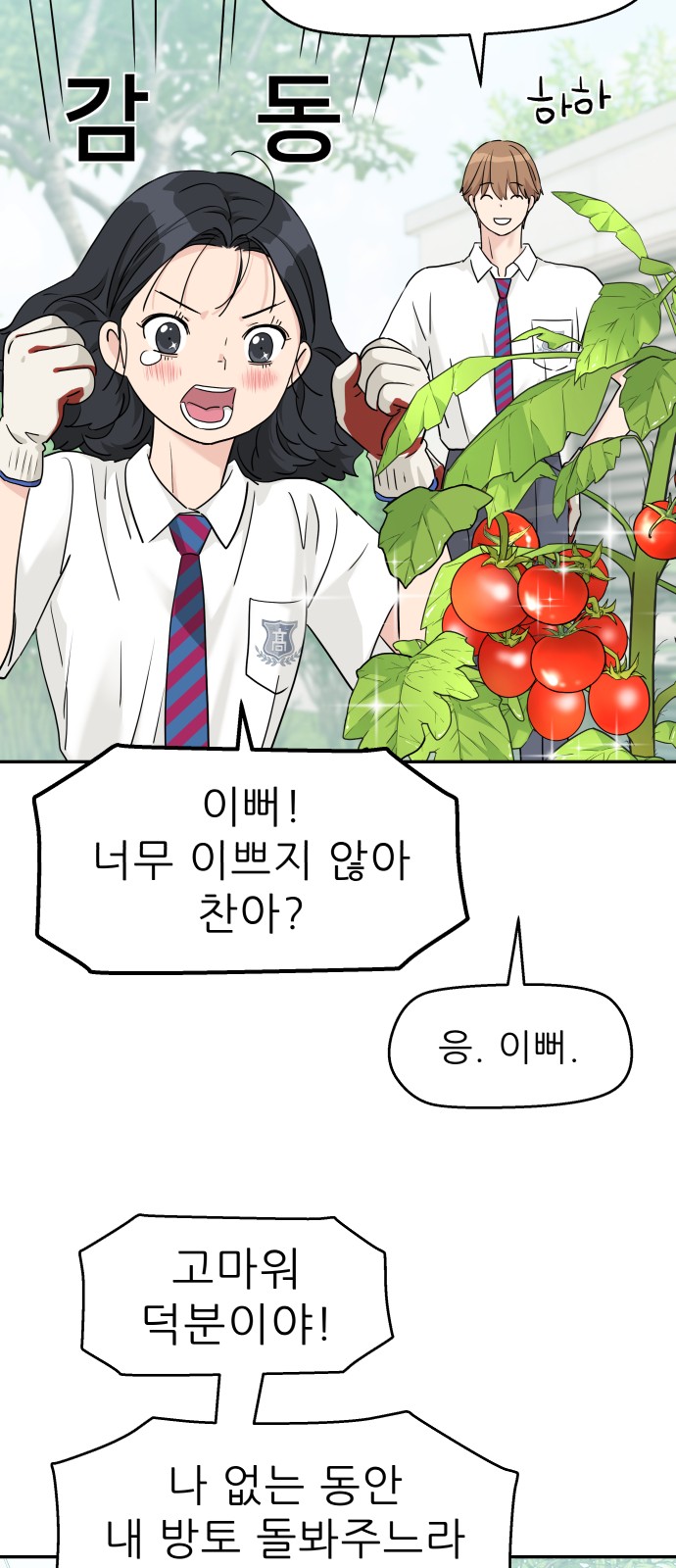 36 페이지