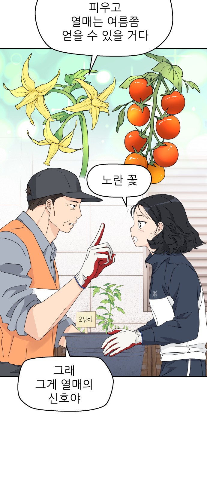 44 페이지