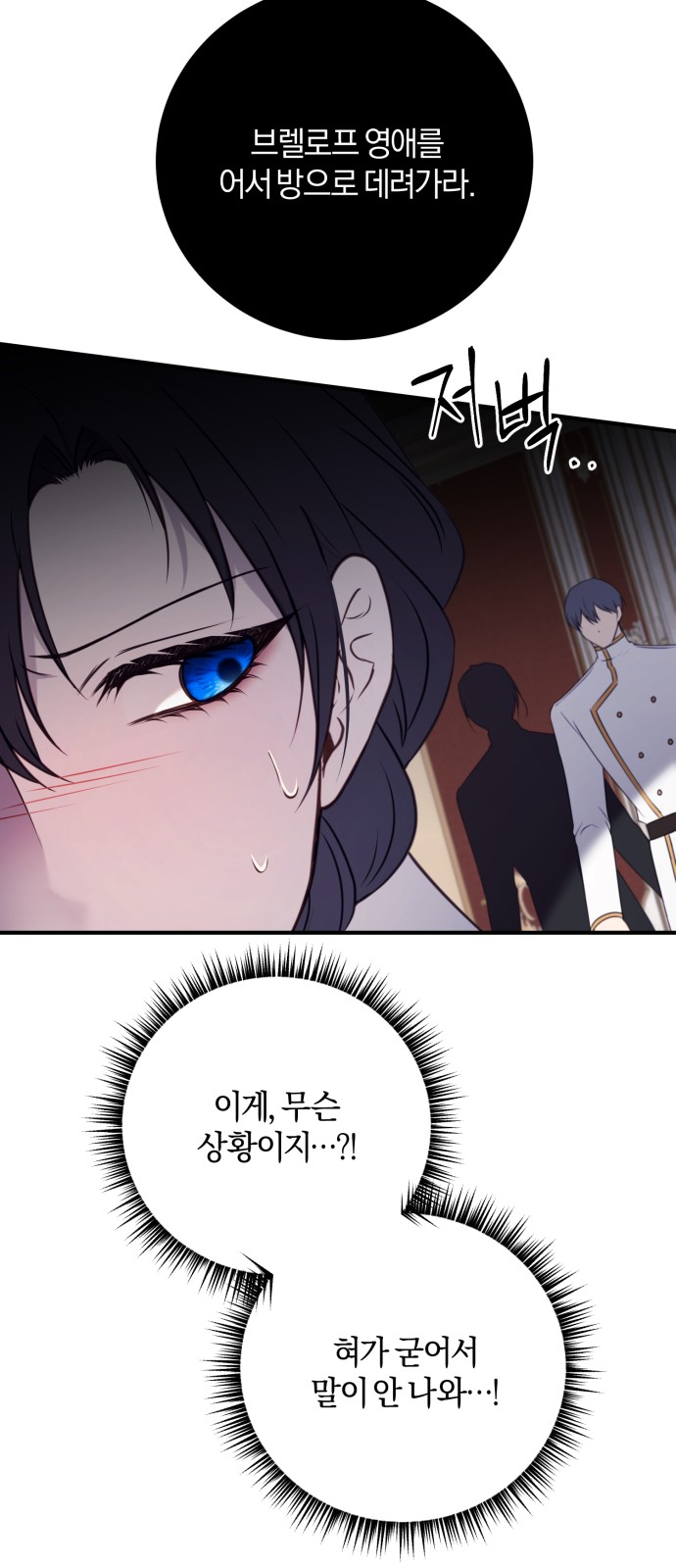 67 페이지
