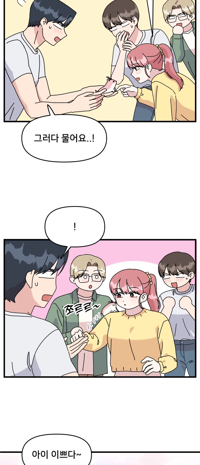 31 페이지