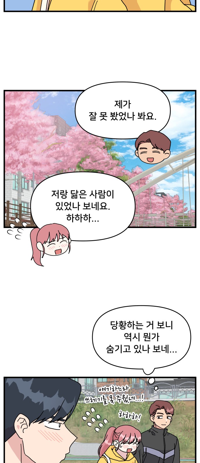 33 페이지