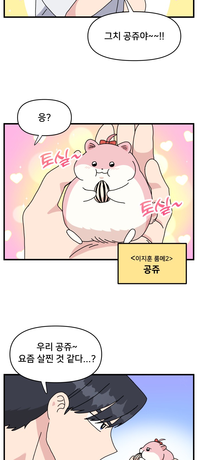 11 페이지
