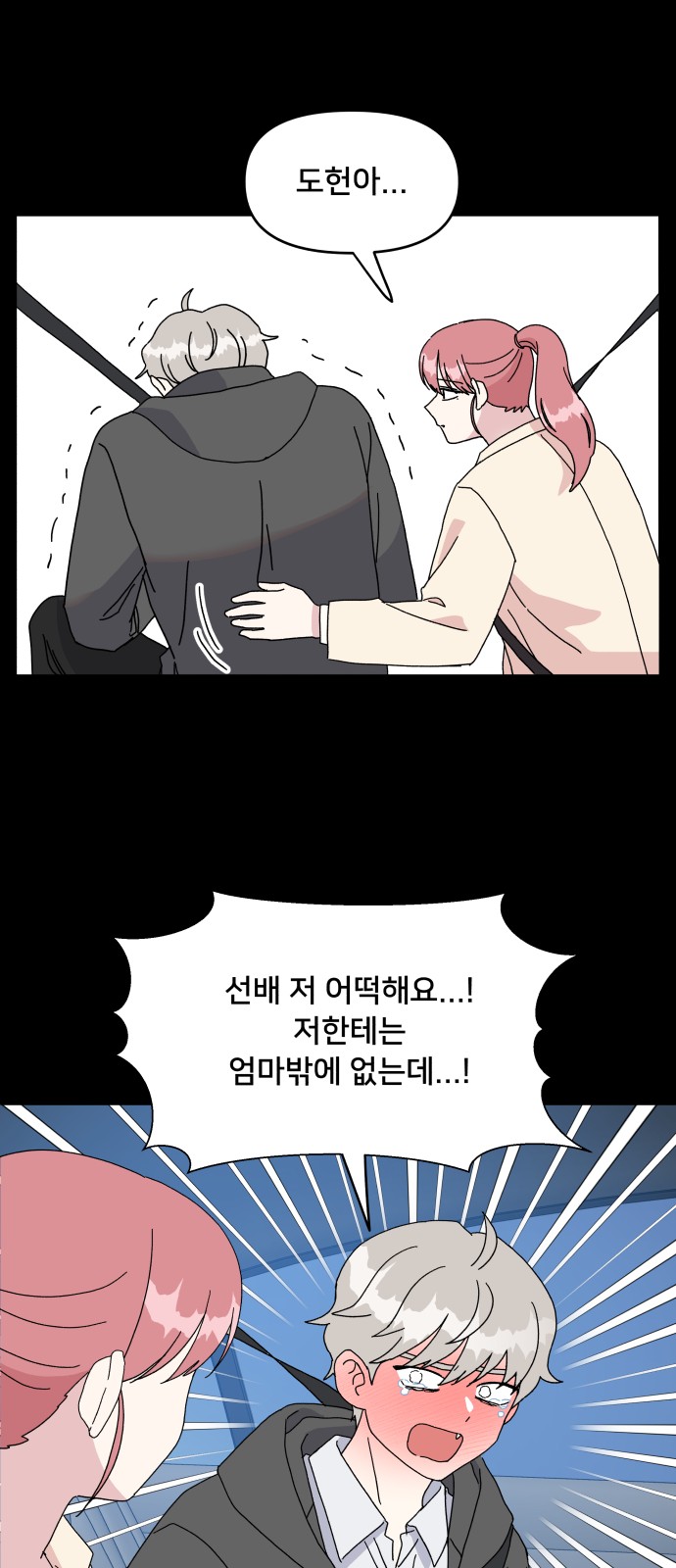 15 페이지