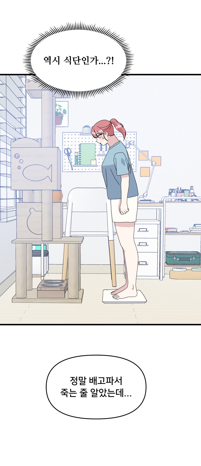 41 페이지
