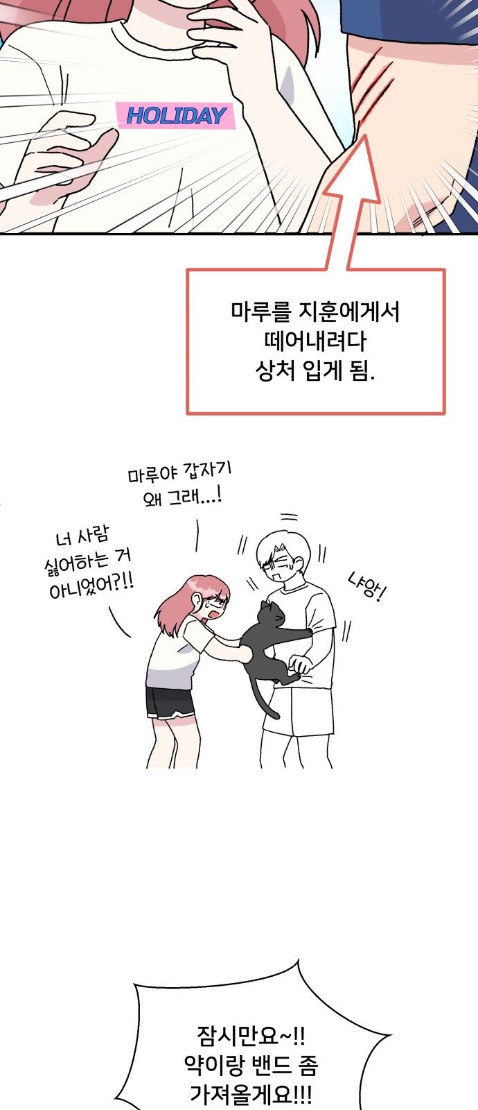 41 페이지