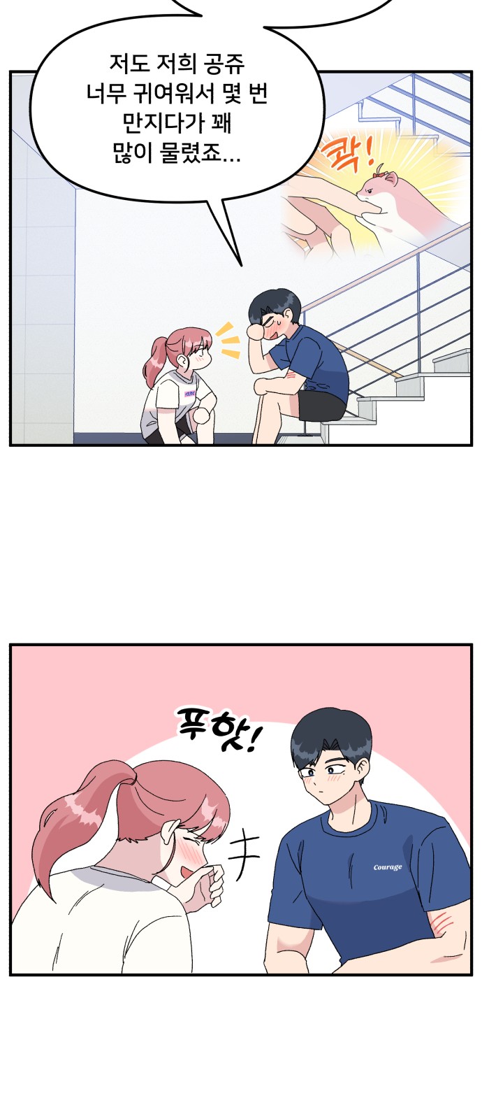 51 페이지