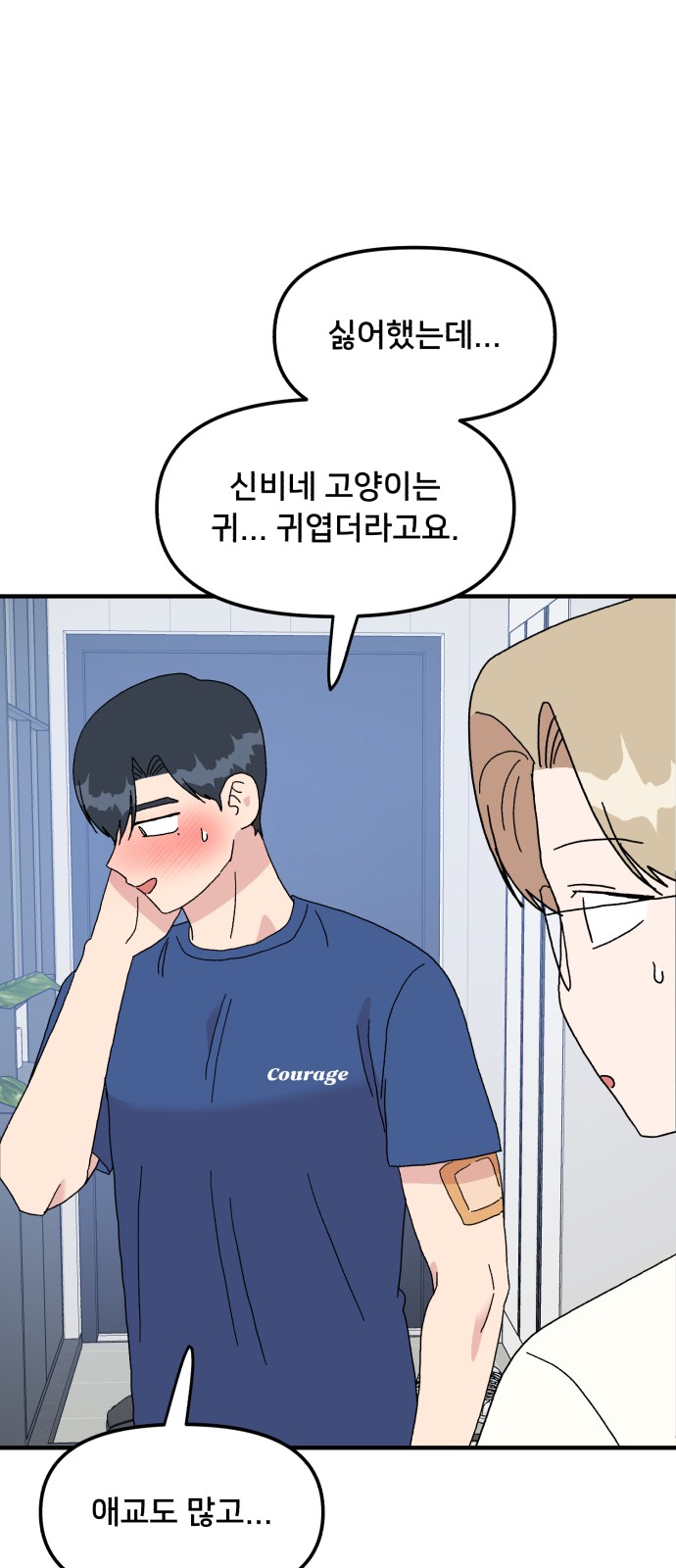 15 페이지
