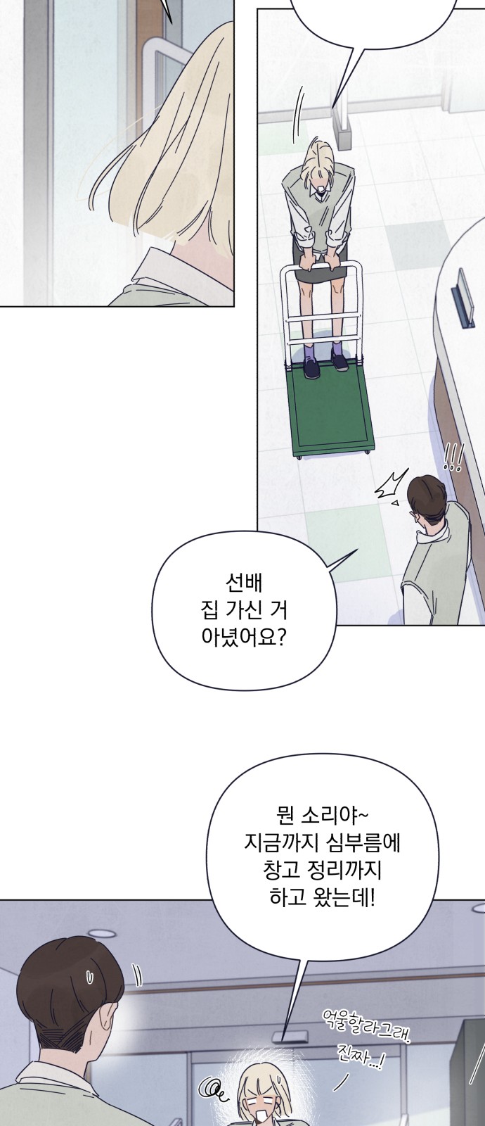 31 페이지