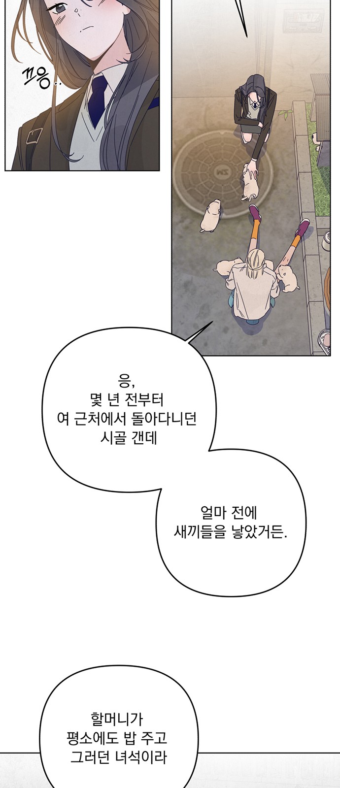 10 페이지