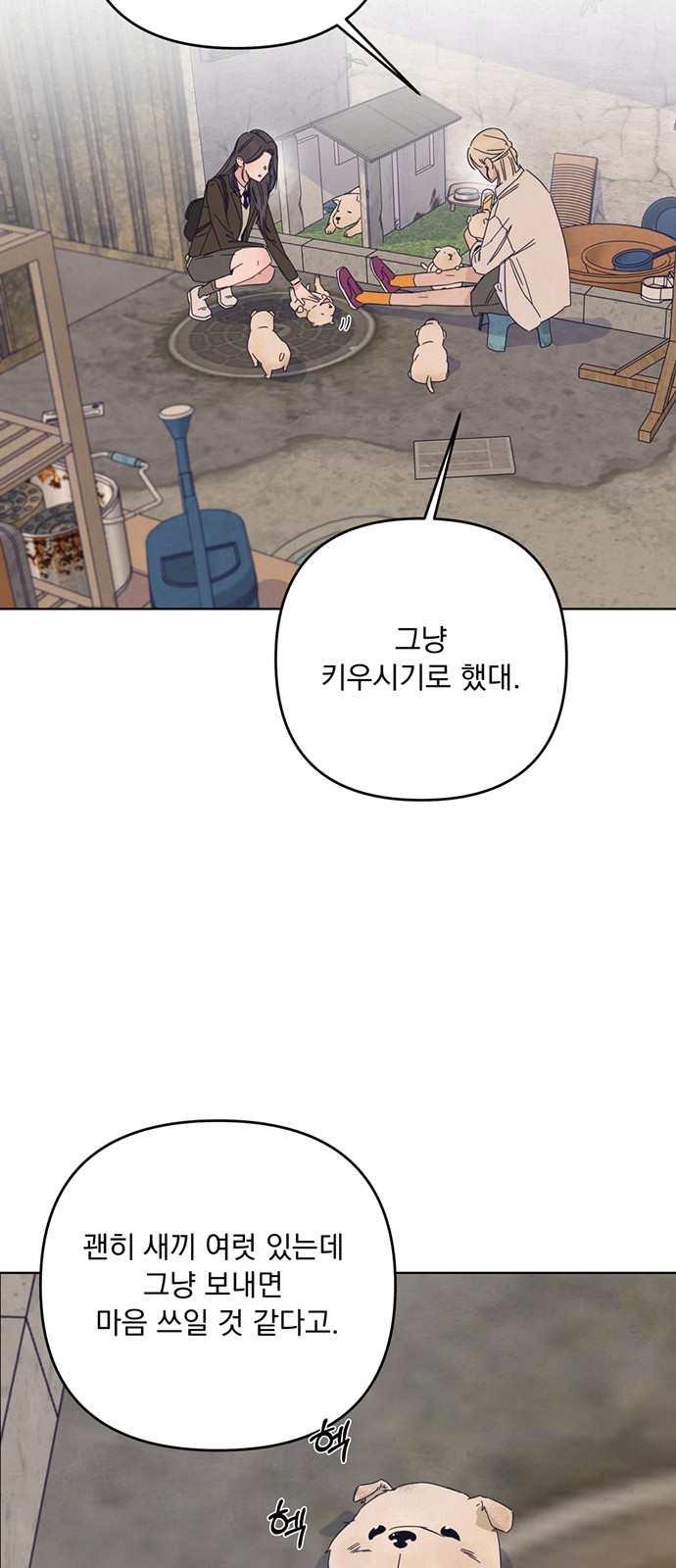 11 페이지