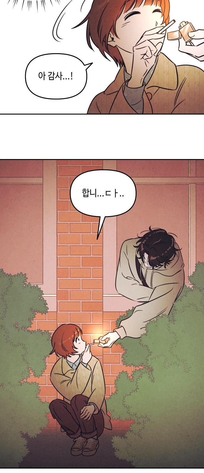 54 페이지