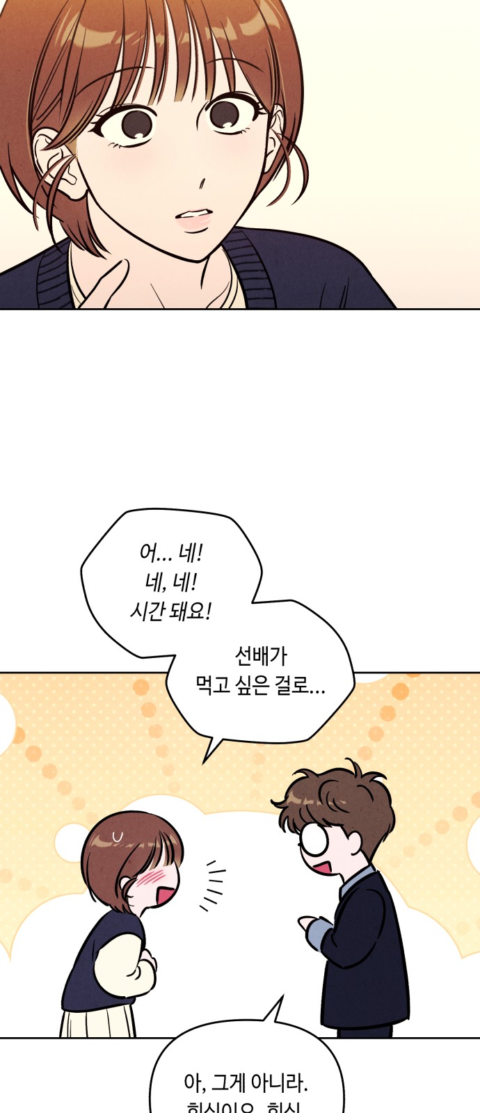 46 페이지