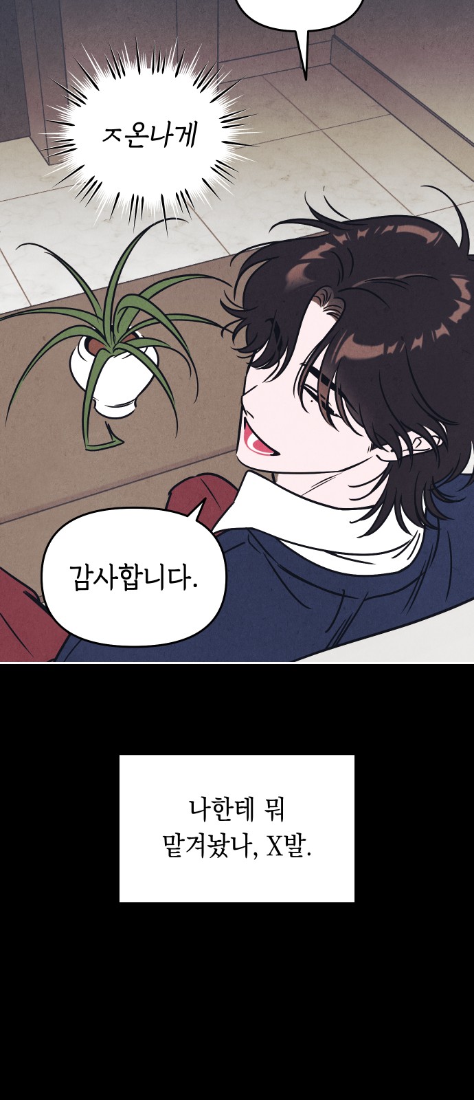 13 페이지