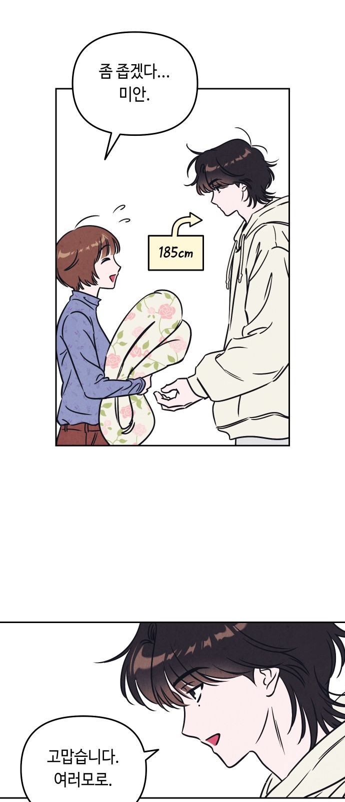 44 페이지