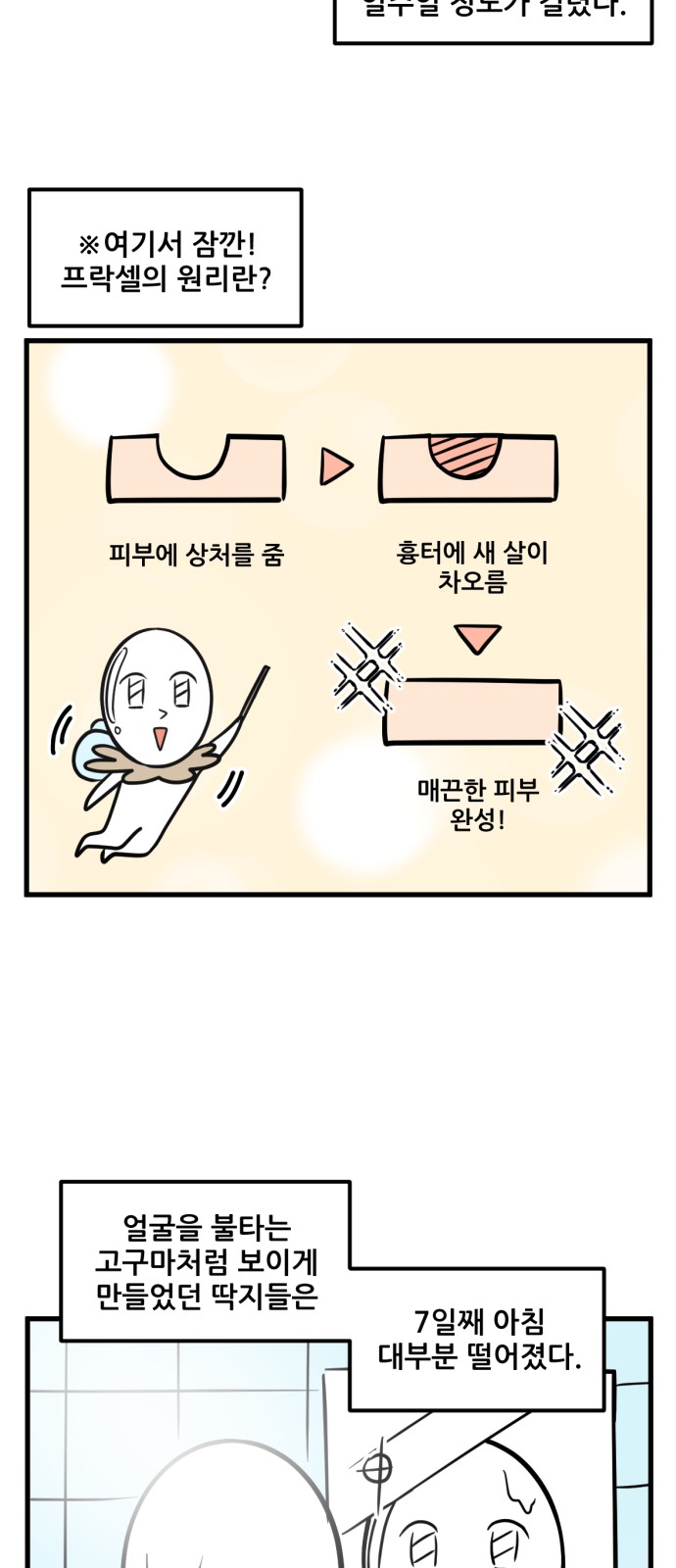 15 페이지